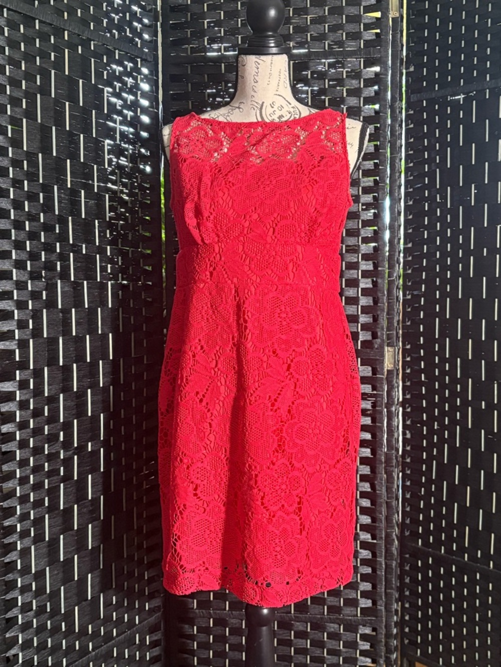 Red Lace Sleeveless Sheath Dress Empire Waist Studio One New York 10P